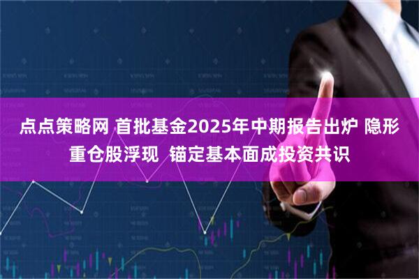 点点策略网 首批基金2025年中期报告出炉 隐形重仓股浮现  锚定基本面成投资共识