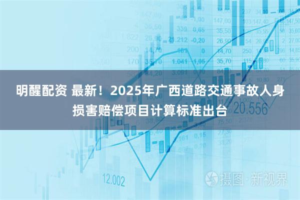 明醒配资 最新！2025年广西道路交通事故人身损害赔偿项目计算标准出台