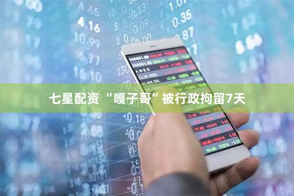 七星配资 “嘎子哥”被行政拘留7天