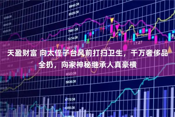 天盈财富 向太侄子台风前打扫卫生，千万奢侈品全扔，向家神秘继承人真豪横