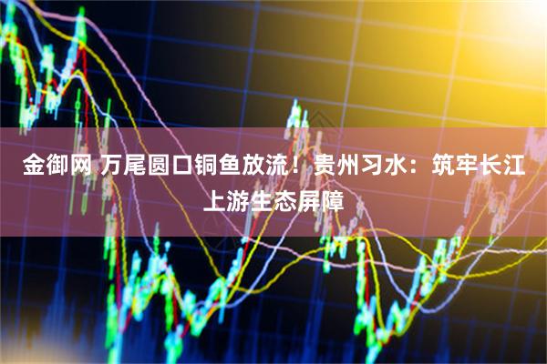金御网 万尾圆口铜鱼放流！贵州习水：筑牢长江上游生态屏障
