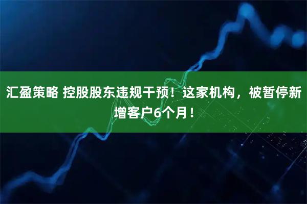 汇盈策略 控股股东违规干预！这家机构，被暂停新增客户6个月！