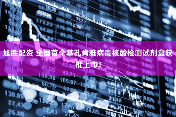旭胜配资 全国首个基孔肯雅病毒核酸检测试剂盒获批上市！