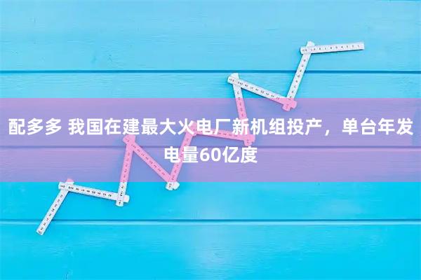 配多多 我国在建最大火电厂新机组投产，单台年发电量60亿度