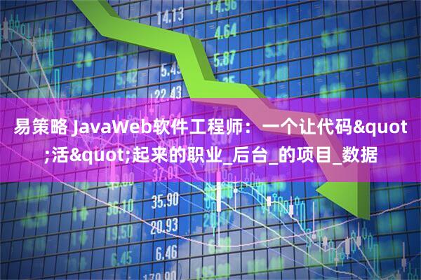 易策略 JavaWeb软件工程师：一个让代码"活"起来的职业_后台_的项目_数据
