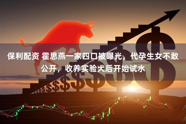 保利配资 霍思燕一家四口被曝光，代孕生女不敢公开，收养实验犬后开始试水