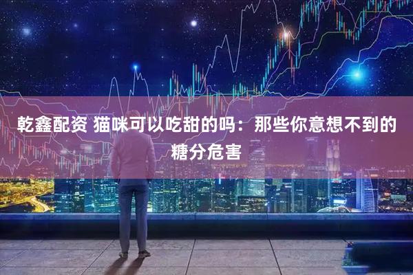 乾鑫配资 猫咪可以吃甜的吗：那些你意想不到的糖分危害