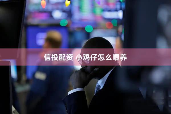 信投配资 小鸡仔怎么喂养