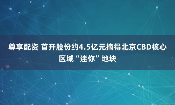 尊享配资 首开股份约4.5亿元摘得北京CBD核心区域“迷你”地块