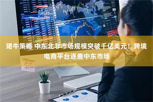 珺牛策略 中东北非市场规模突破千亿美元！跨境电商平台逐鹿中东市场
